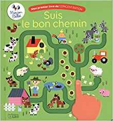 livre suis le bon chemin