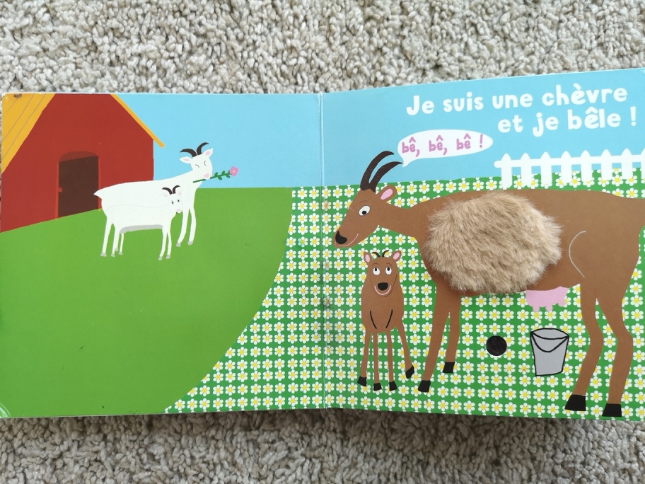 IMG_20190505_152312_resized_20190505_100710833