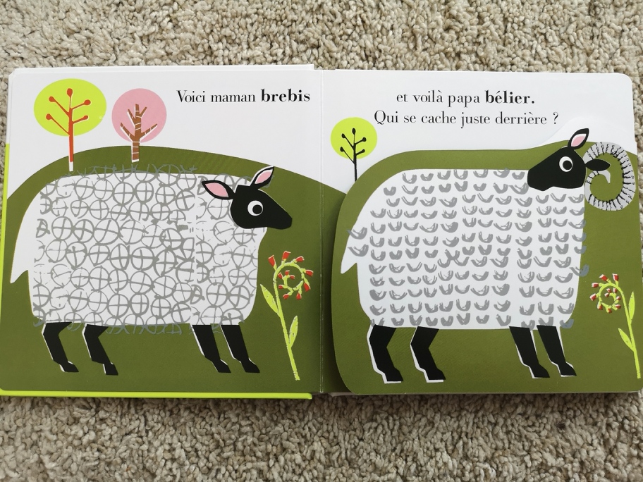 IMG_20190505_153045_resized_20190506_030538762