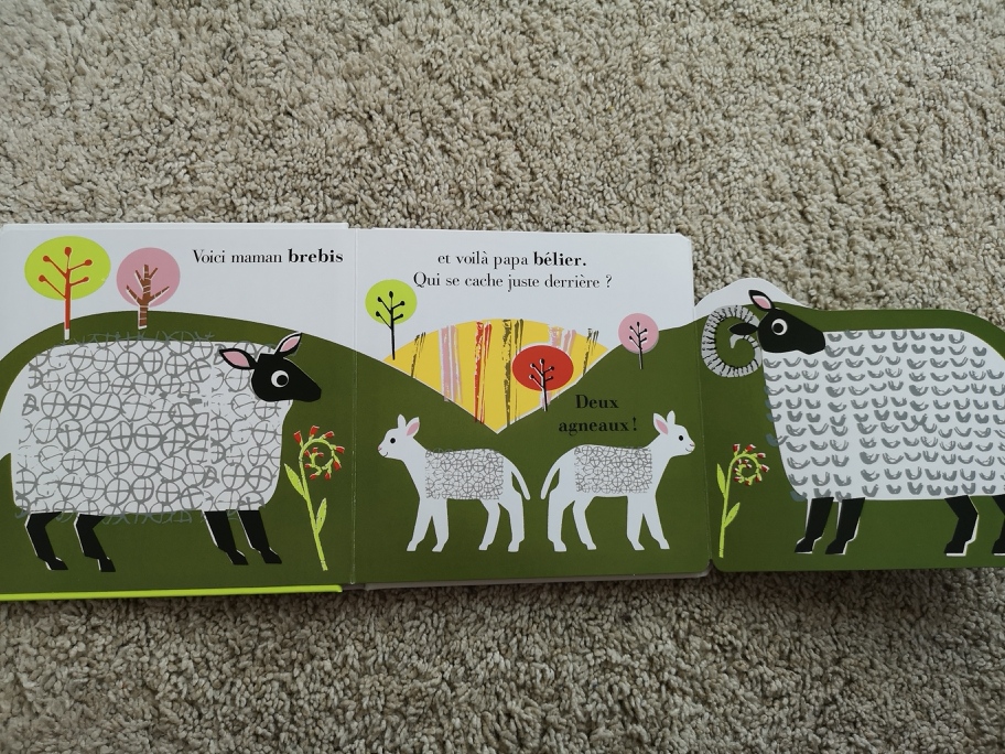 IMG_20190505_173555_resized_20190506_030538626