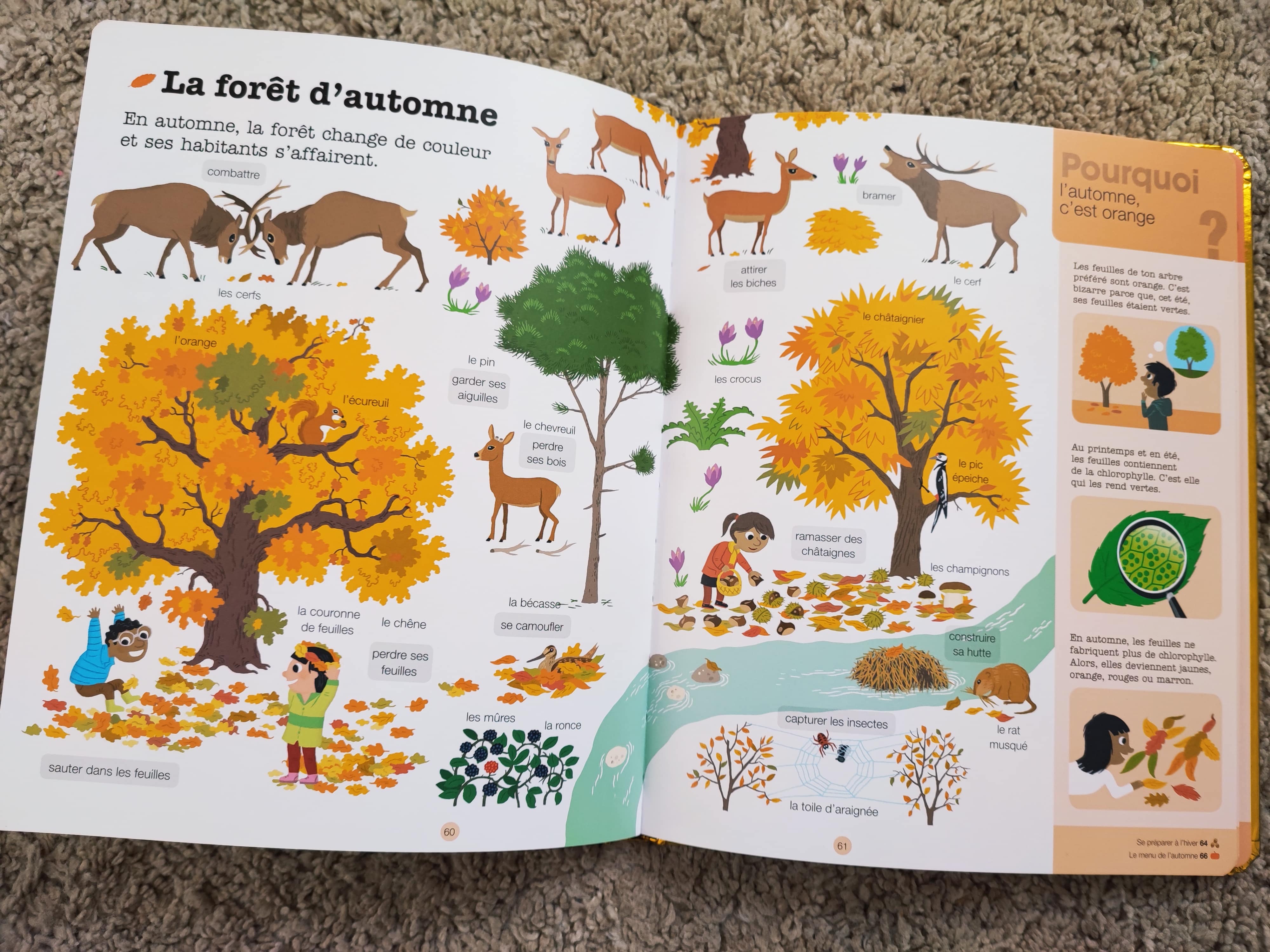 IMG_20210910_232342-min