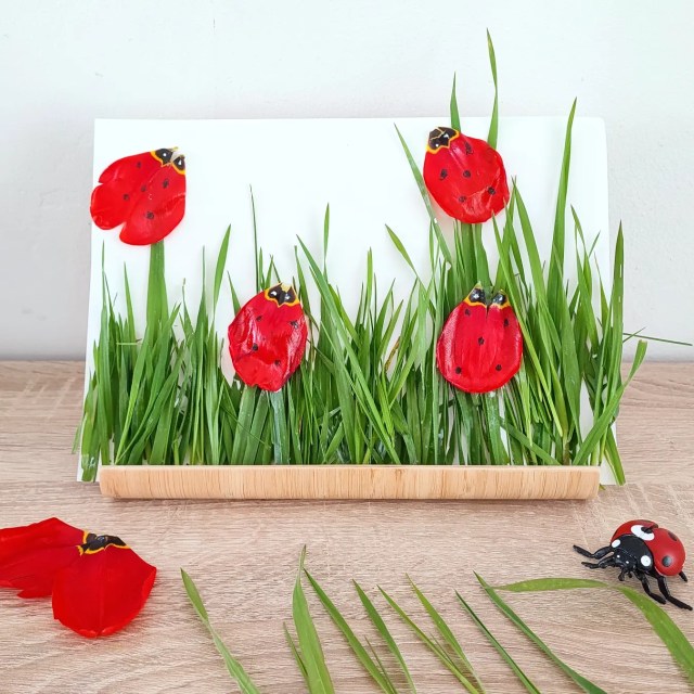 IMG_20220403_204612_630